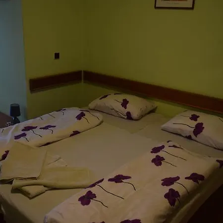 Penzión pre hostí Ring