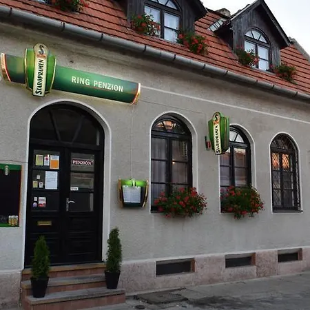 Penzión pre hostí Ring