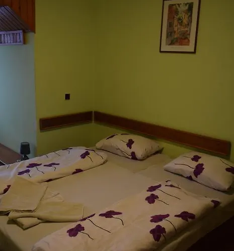 招待所 环形旅馆 科马尔诺